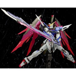 반다이 (BANDAI) METAL BUILD 데스티니 건담 (풀 패키지) (혼 웹 상점 한정)