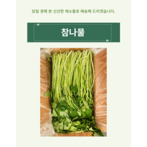 향긋한 참나물 특품 국내산 1kg