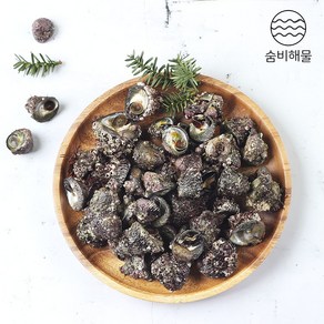 거제도 해녀가 직접 잡은 보말 바다고동 1kg 2kg