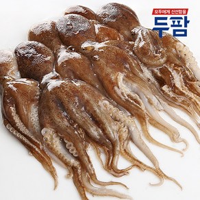 두팜 냉동 쭈꾸미, 1개, 1kg