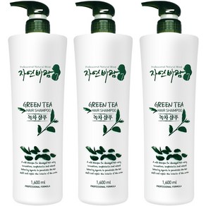 자연바람 그린티 녹차 미용실 샴푸3셋트 대용량, 3개, 1600ml