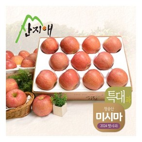 산지애 알뜰사과(특대과) 4kg+4kg, 2개, 4kg