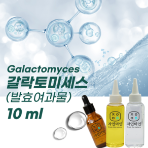 에코문 갈락토미세스(발효여과물) 10ml / 피테라에센스, 1개