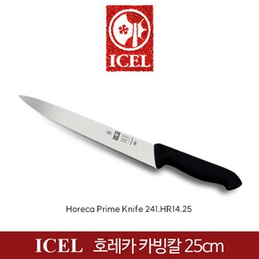 ICEL 이셀 프래티카 카빙칼 25cm 검정 항균손잡이 정육칼 241.HR14.25, 1개