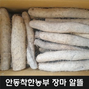 안동장마 알뜰 10키로 24년 햇마