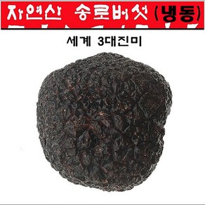 진심좋은 세계3대진미 자연산 냉동 트러플 자연 건조 송로버섯 250g, 1박스, 자연산트러플 1cm-3cm 250g