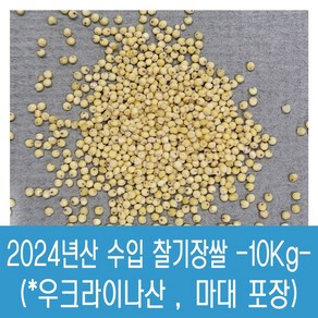 [다온농산] 수입 우크라이나산 찰기장쌀 -10Kg- <국내도정> 가격 저렴, 1개