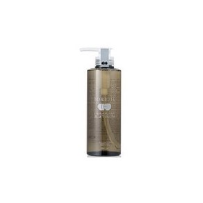 일본직발송 6. D.J TOKIO IE インカラミ シャンプー 500ml [ TOKIO IE INKARAMI SHAMPOO ] B07B2S2TBB, 1개