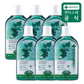 덴티스테 내츄럴 오랄린스 구강청결제, 700ml, 6개