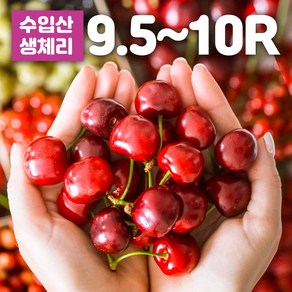 항공직송 미국산 캘리포니아 워싱턴 체리 500g 1kg