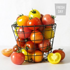 알록달록 오색 튤립 방울 토마토 로얄과, 3kg, 1세트