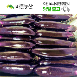 < 바른농산 > 국내산 햇가지 특상품 (3kg 5kg 10kg), 1개
