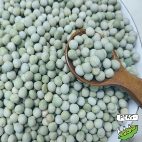 [정성든] 수입 완두콩 5kg (캐나다산), 1개
