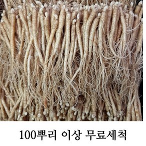 삼계탕용 갈비탕용 작은 실삼계 무료세척 실속형 100뿌리이상, 잔삼계750g(100-130뿌리), (세척원하지않아요X), 1개