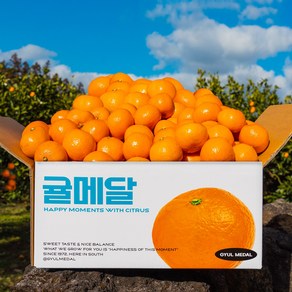 당도 선별 11Bix 감귤 제주 직송, (주말도착보장)고당도 타이벡 10kg 로얄과(2S-M), 1박스