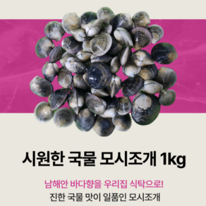 모시조개 1kg 남해안 조개탕 50미내외 시원한국물 요리 바지락 대용으로 깔끔하고 아주좋아요