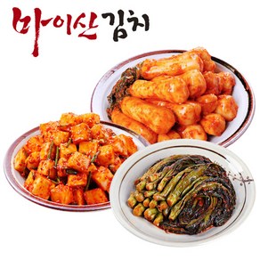 [한국농협김치] 마이산김치 맛남3종9호 총각김치/깍두기/갓김치 각1kg, 1세트, 1kg