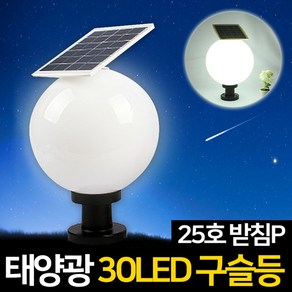 신성나라 태양광 30LED 구슬등 호박등 문주등 정원등 잔디 조명 태양열구슬등, 30LED 태양광 구슬등 25호(받침P)