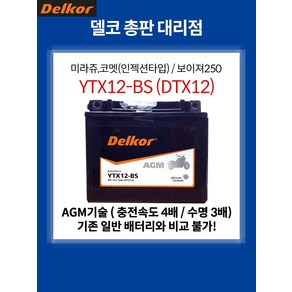 트라이엄프 스트리트 스크램블러 Scamble AGM 배터리 YTX12-BS DTX12, 1개