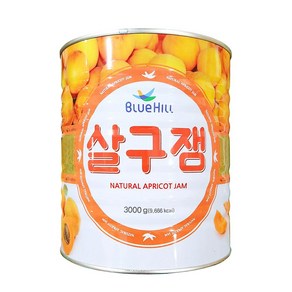 진산 업소용 커피 카페 음료 에이드 식자재 대용량 잼 시럽 살구잼 대용량 3kg, 1개