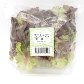 의령농산 건강채소 국내산 간편손질야채 꽃상추 (100g), 1개, 꽃상추 100g