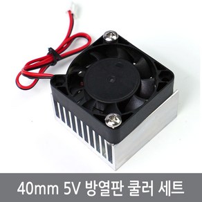 CN5 40mm 5V 쿨링팬 방열판 세트 열전소자 펠티어, 40mm방열판세트, 1개