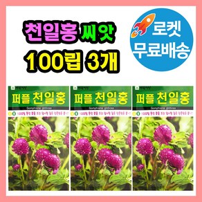 천일홍 꽃 씨앗 (합 300립) 꽃씨 종자, 3개