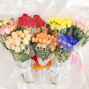 (김해장미) 장미 10송이 20송이 투명포장 꽃다발 농장직송 데일리꽃, 1개, 레드톤10송이(투명포장)
