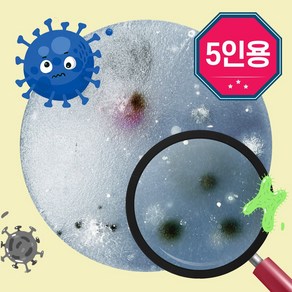 세균배양 실험키트 5인용 배지 만들기 과학 손세균검사