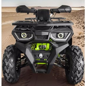 와일드트랙 200cc ATV 사륜 오토바이 산악 오프로드 1인용 해변 사막, 블랙