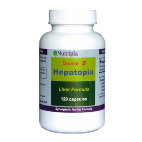 헤파토피아 고농축 천연 허브 간기능 개선제 Docto Z Hepatopia 120 Capsules, 1개, 120정