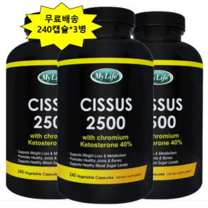 씨서스 240캡슐 12개월분 *3병 시서스 2500mg 다이어트