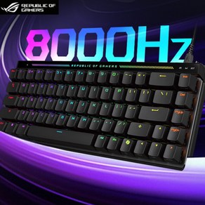 [CY] ROG 마도사 ACE HFX 마그네틱축 게이밍 키보드 ABS 8KHz 65%배열 RT지원 0.125ms저지연 gasket구조 RGB 시즌신상, Ace HFX키보드+ACE Mini 마우스(블랙)