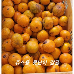 노지감귤 쥬스용 9kg GAP농산물인증 [경흥농원] 제주서귀포 최대규모 농장 직배송, 1개