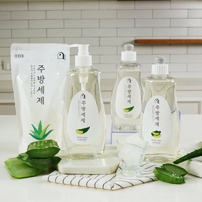 오늘의 쉼표 주방 세제 알로에 300ml 500ml 1종 과일 식기 그릇 세척 기름기 제거, 300ml 리필, 1개