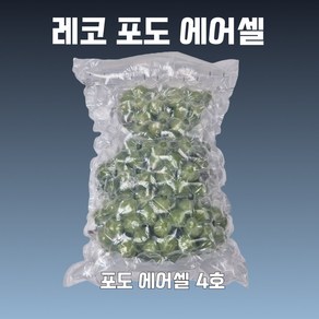 5호 50EA (4kg 포도포장) 샤인머스켓포장 에어캡 에어팩 택배포장 에어셀 완충재, 1개