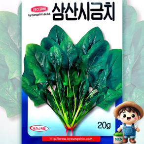 삼산시금치 20g 시금치 봄 가을 채소 씨앗 종자 경신 모든