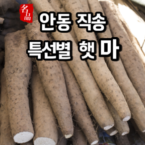 [특선별] 햇마 국산 안동 장마 생 마, 1개, 장마 [중품] 2kg