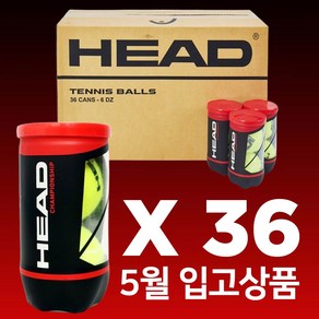 헤드 (2개입) 36캔 1박스 테니스공 시합구, 그린옐로우, 36개