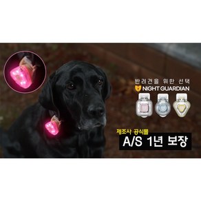 나이트가디언P 반려견 야간 산책 LED 야광 목걸이 클립형 USB 펜던트 방수 후레쉬 강아지 멍멍이