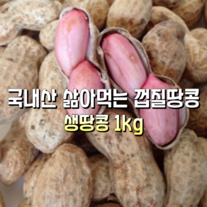 [산지직송] 국내산 자연산 삶아먹는 껍질땅콩 생땅콩 피땅콩 1kg 1박스