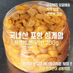 [산지 직송] 국내산 자연산 포항 생 성게알 우니 200g, 1세트