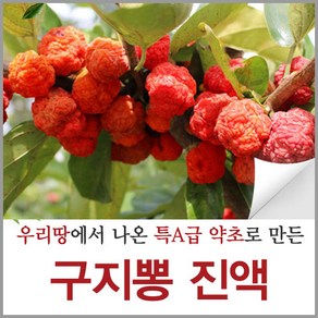 신토불이약초 꾸지뽕 진액 구지뽕 열매 즙 구찌뽕 액기스 원액 90ml 60포, 61개