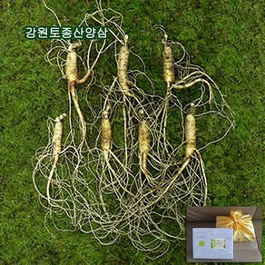 하주니 산양산삼 7년근 산양삼 장뇌삼 장뇌산삼 야생 산삼 황절삼 무농약 자연산 면역력 명절 설날 추석 선물세트 부모님 건강 고급 선물, 1세트, 산양산삼08년근 07뿌리