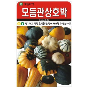 모듬관상호박 씨앗 10립 아람종묘 23년, 1개