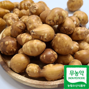 해남 무농약 세척 아피오스 인디언감자 1kg 3kg 5kg, 1개, 아피오스 1kg(소)