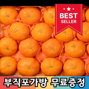 [설선물추천] 명품 레드향 과일 선물세트, 1박스, 2kg 중대과 (6~12과 / 실중량 1.8kg)