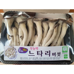 야채왕 무농약 느타리 참타리 버섯 200g 1팩 /3팩/ 5팩 /10팩, 10개