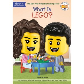 What Is Lego?:, Penguin Wokshop