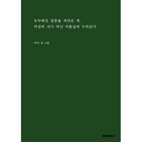 눅눅해진 청춘을 껴안은 채 여전히 네가 떠난 여름날에 누워있다, 김나윤 저, BOOKK(부크크)